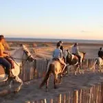 Appartamento Le Boheme - En Petite Camargue - 4 Personnes *