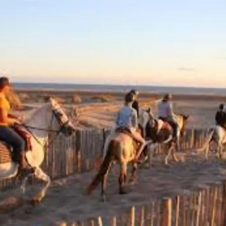 Le Boheme - Sejour En Petite Camargue - 4 Personnes Apartmán Le Grau-du-Roi
