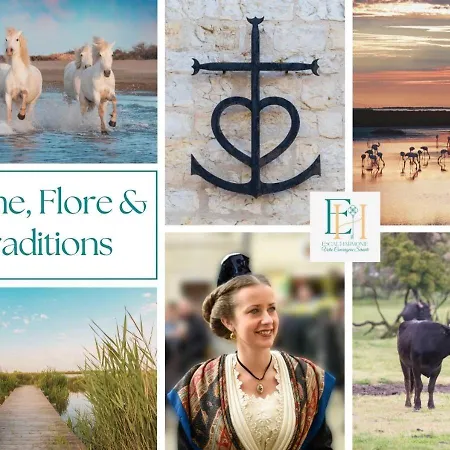Lejlighed Le Boheme - Sejour En Petite Camargue - 4 Personnes Le Grau-du-Roi