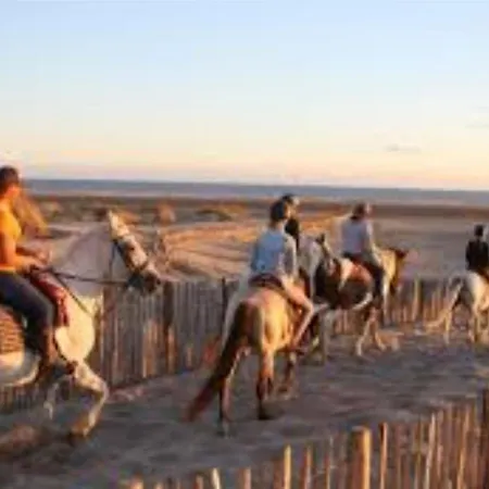 Lejlighed Le Boheme - Sejour En Petite Camargue - 4 Personnes *